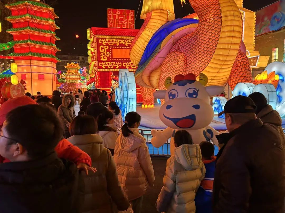 央視直播鄭州龍年燈會迎新春,花花牛品牌上大分 央視直播鄭州龍年燈會迎新春,花花牛品牌上大分