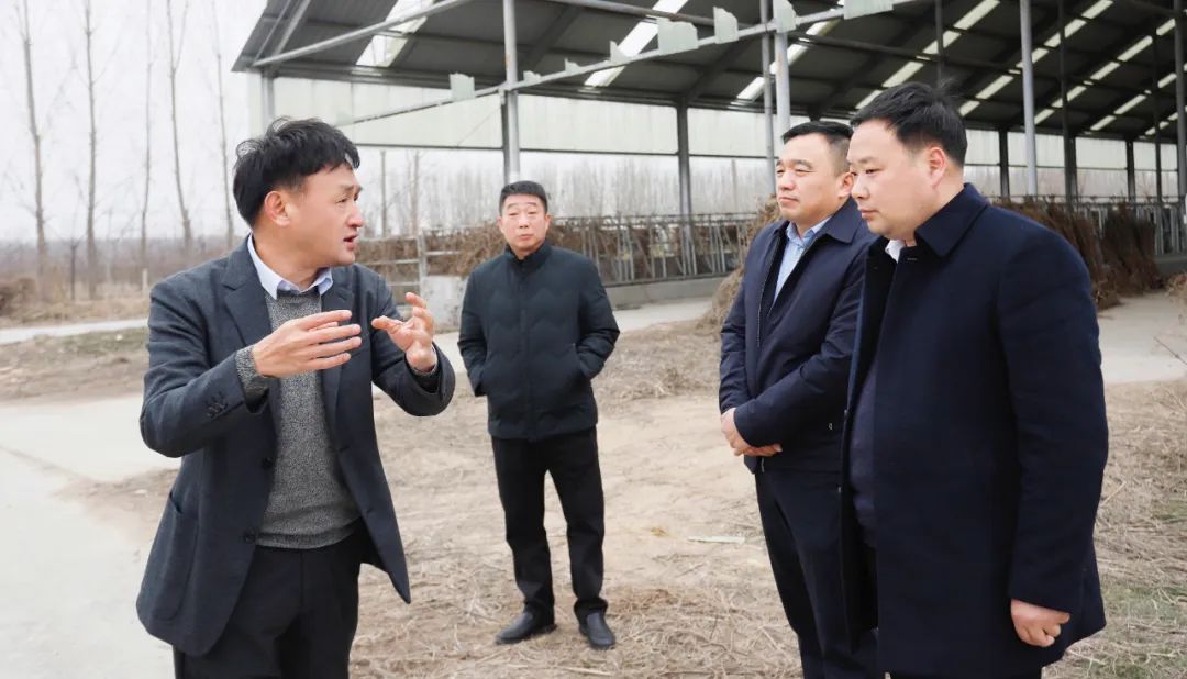 發揮產業優勢 助力鄉村振興 | 民權縣委副書記、縣長王靜嫻會見關曉彥董事長一行