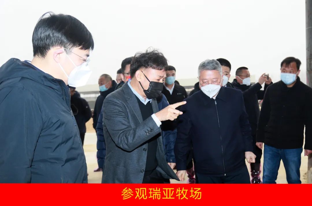 新年開新局 合作促發展丨佳木斯市委常委、副市長閆志剛一行蒞臨花花牛乳業集團及佳田企業考察座談