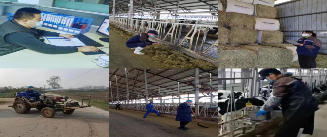 @全體花花牛人:請珍惜你的崗位,請善待我們共同的“花花牛”! @全體花花牛人:請珍惜你的崗位,請善待我們共同的“花花牛”!