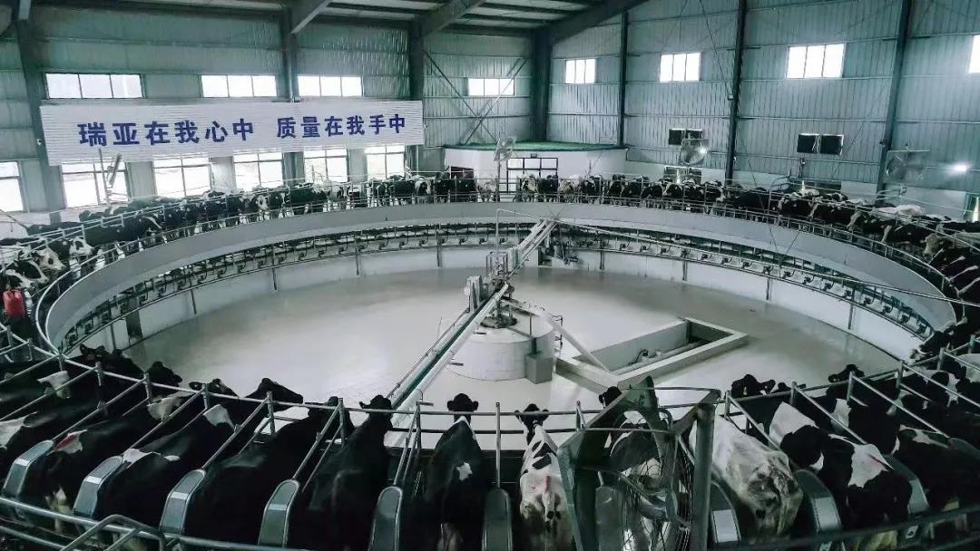 快訊 | 駐馬店市委副書記、市長李躍勇一行蒞臨花花牛乳業集團平輿瑞亞牧場調研 快訊 | 駐馬店市委副書記、市長李躍勇一行蒞臨花花牛乳業集團平輿瑞亞牧場調研