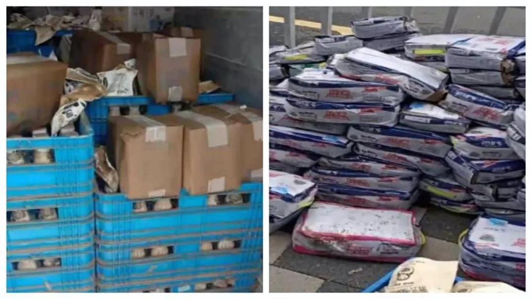 【乳報·聚焦】“豫”難而上的中原牛人“太中了”! 【乳報·聚焦】“豫”難而上的中原牛人“太中了”!