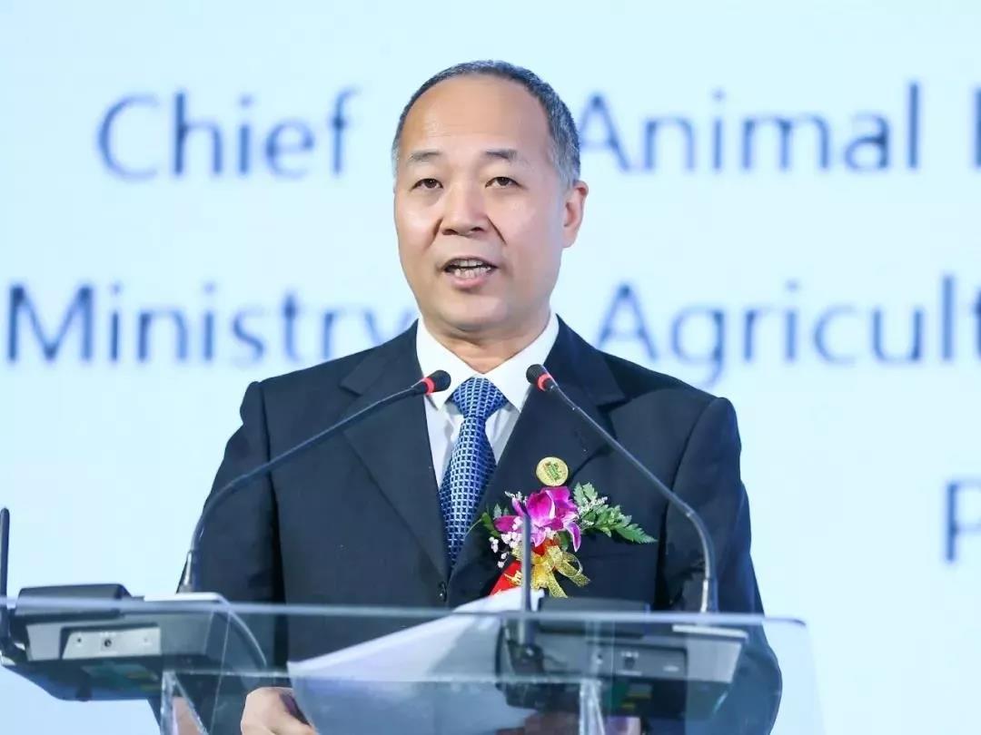 SDDDC走進河南，看看花花牛的國際范兒！