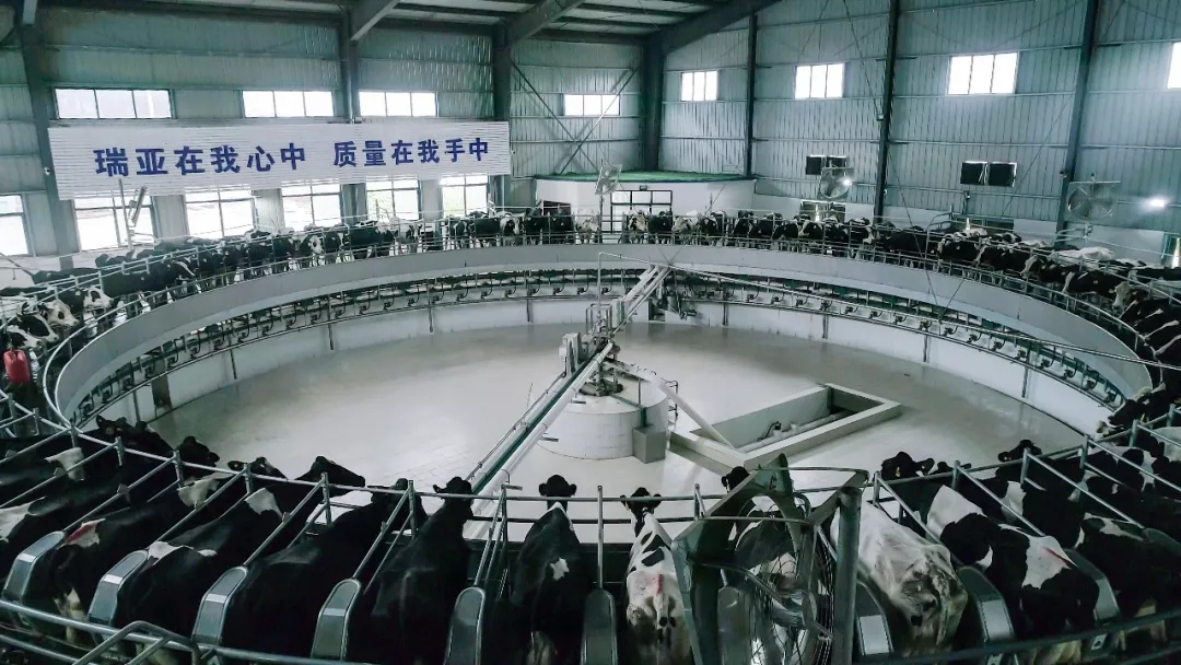 第31屆中原畜牧業交易博覽會 || 花花牛乳業集團獲“河南省畜牧行業——最具影響力品牌”獎