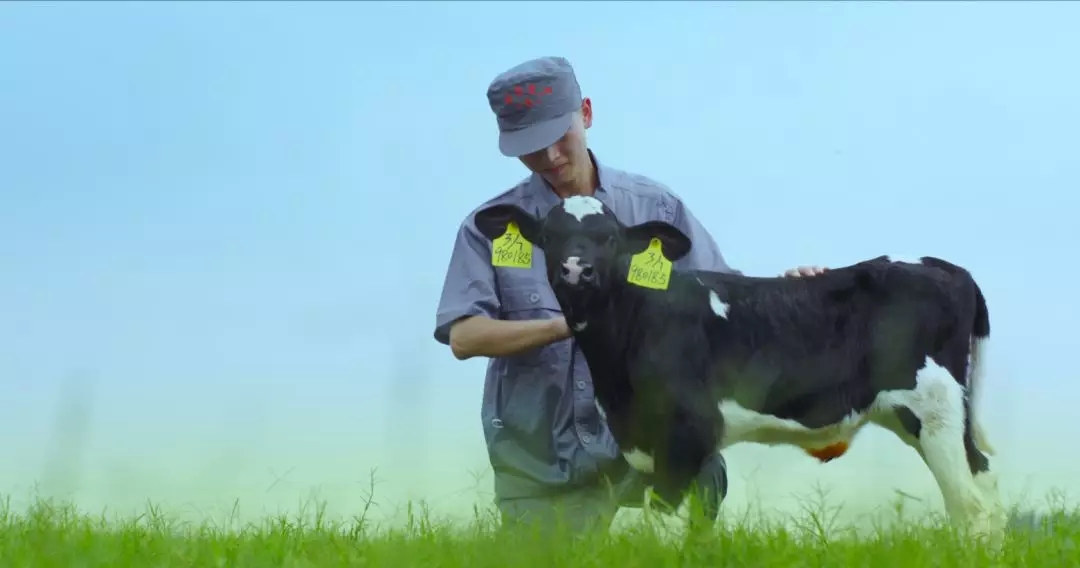 喜報 | 國家市場監管總局抽檢，花花牛等112家企業乳品抽檢全部合格