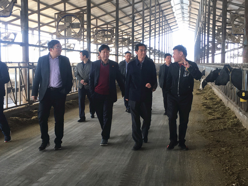 封丘縣縣長王獻臣一行蒞臨 花花牛集團養殖、乳品事業部參觀調研 封丘縣縣長王獻臣一行蒞臨 花花牛集團養殖、乳品事業部參觀調研