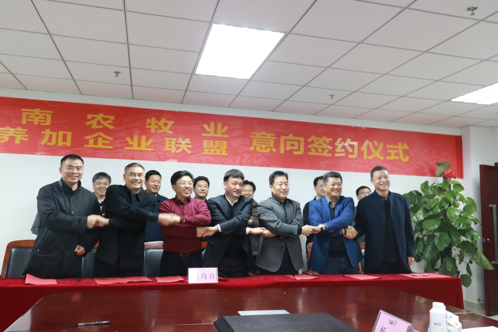 涉農企業強強聯合，“抱團取暖”共迎企業發展的春天