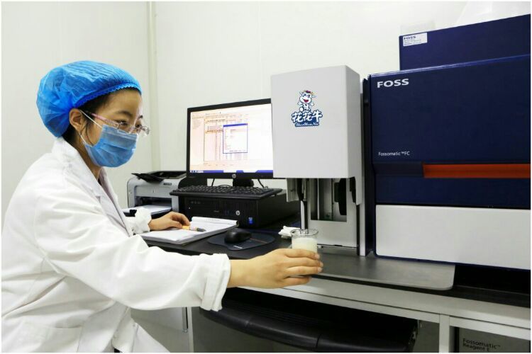 花花牛:務(wù)實(shí)、創(chuàng)新領(lǐng)潮市場(chǎng) 大企業(yè)體現(xiàn)大擔(dān)當(dāng) 花花牛:務(wù)實(shí)、創(chuàng)新領(lǐng)潮市場(chǎng) 大企業(yè)體現(xiàn)大擔(dān)當(dāng)