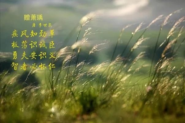 花花牛 | 疾風來臨，你是不是勁草？