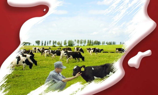 喜報！花花牛董事長關曉彥再獲”優 秀企業家”稱號